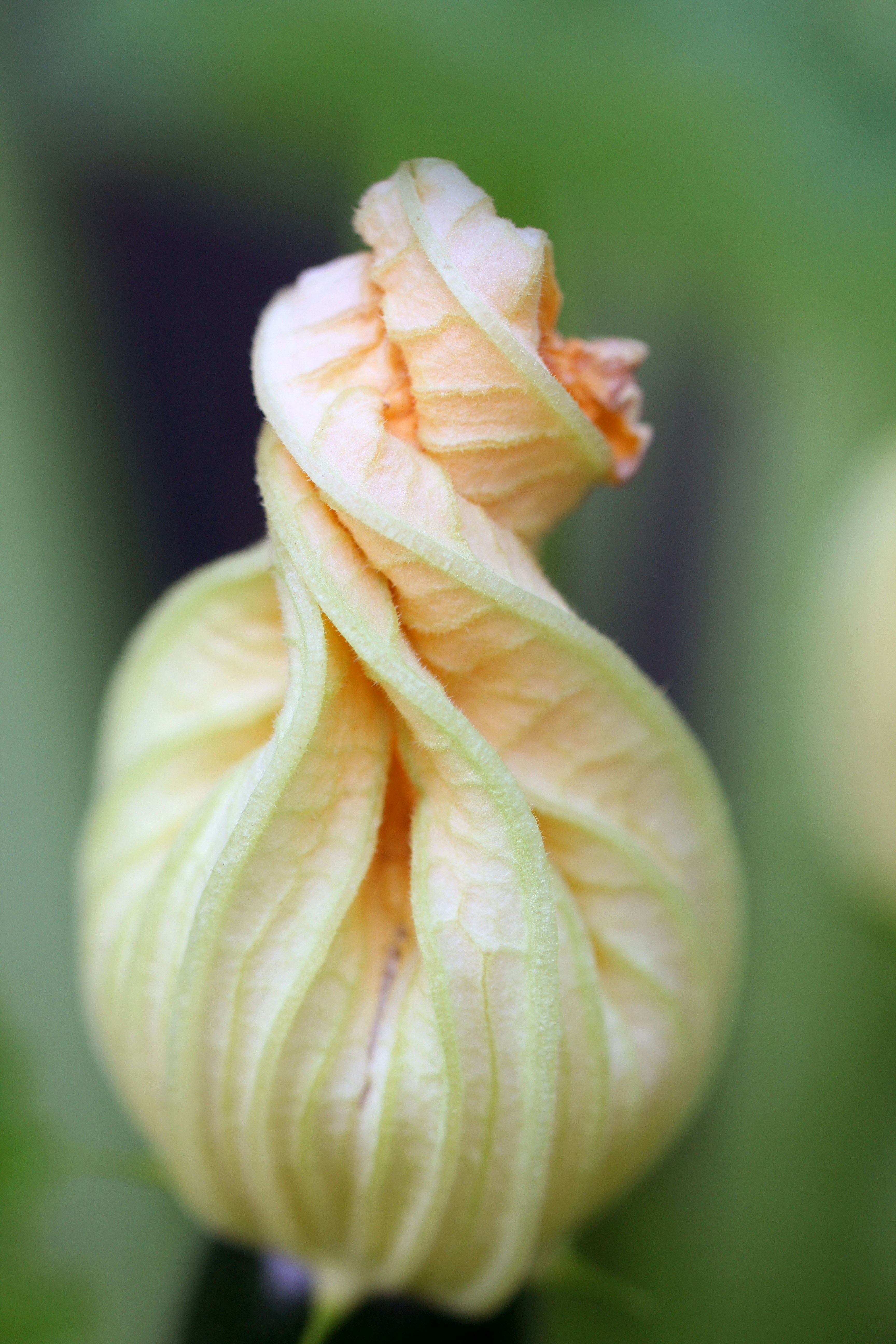 potential about to open